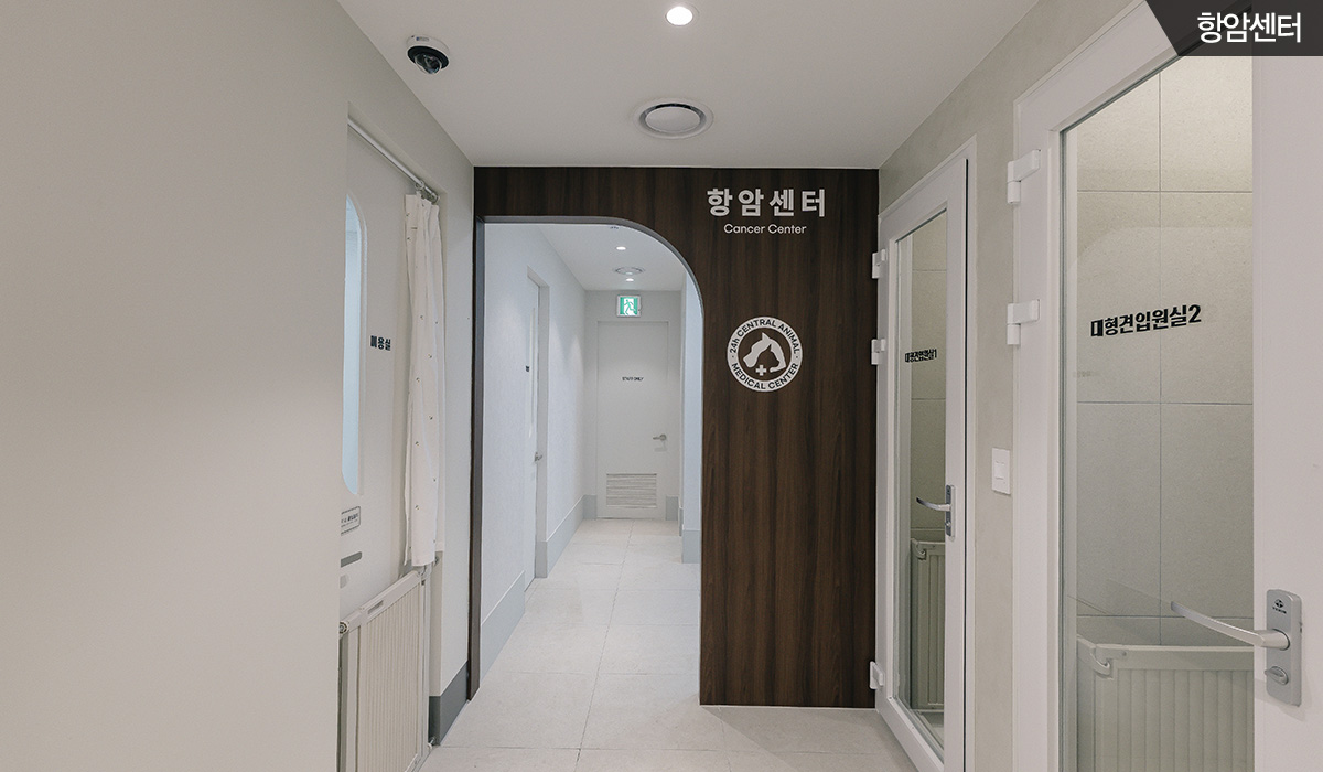 24시센트럴동물메디컬센터 항암센터