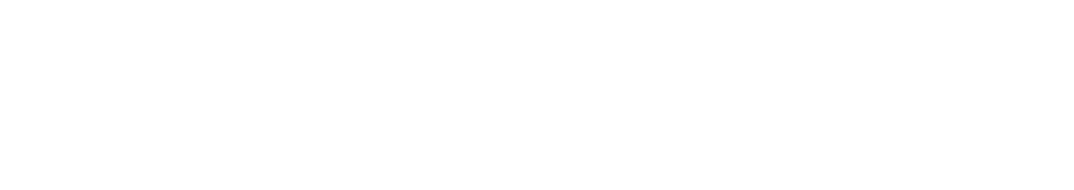 24시센트럴동물메디컬센터 진료과목